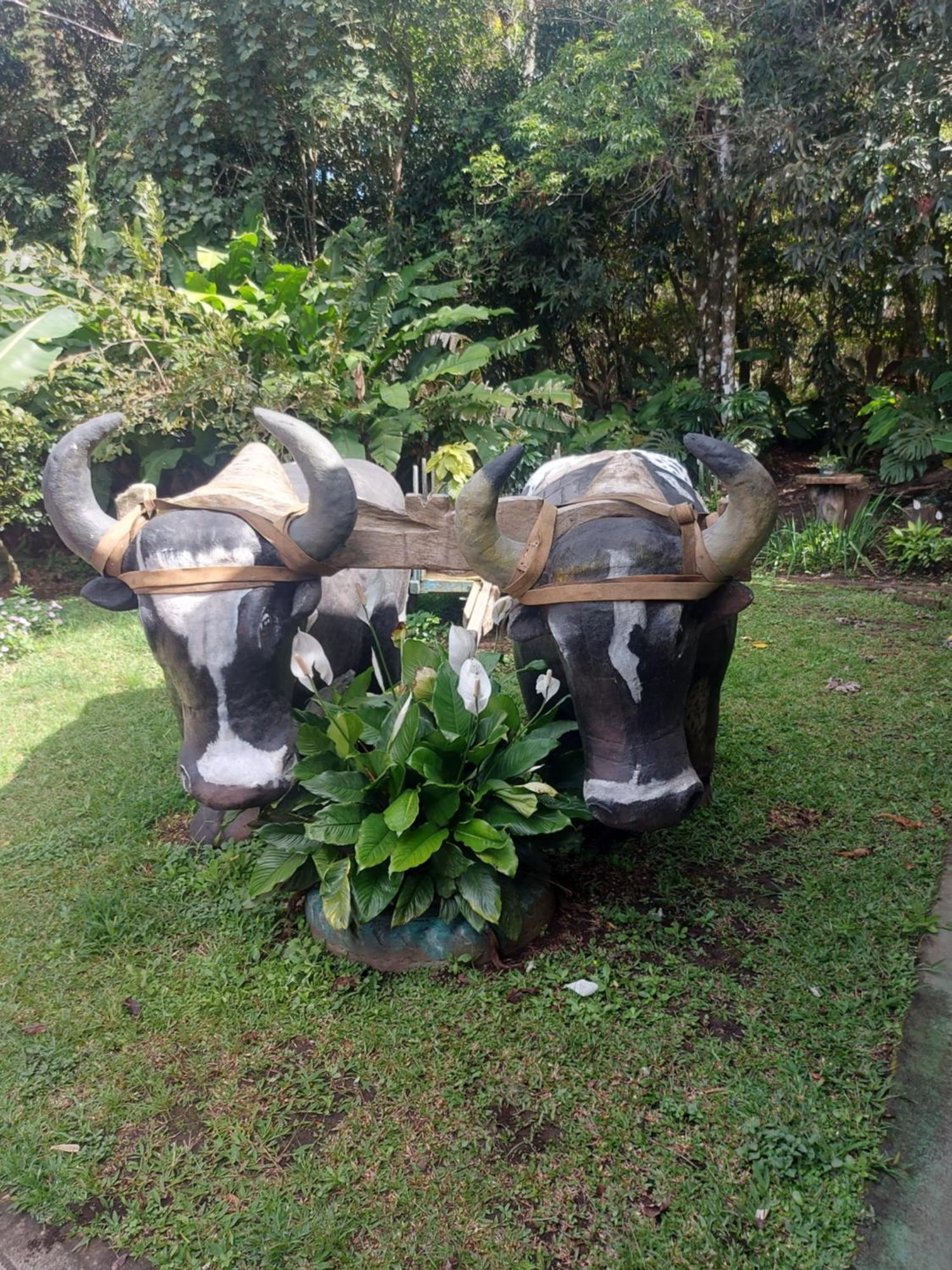 Alisson Hotel Y Restaurant Monteverde Exterior photo